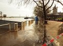 Hochwasser Koeln 2011 Tag 2 P264